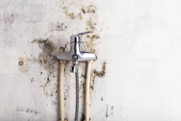 Best Office Mold Removal Services  in Crawford, GA