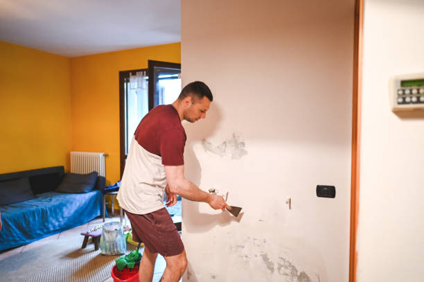 Best Mold Removal Near Me  in Crawford, GA
